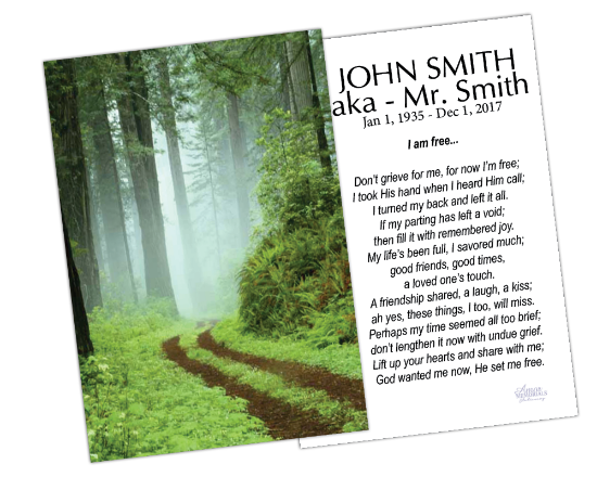 Picture of FPC1001EN The Path